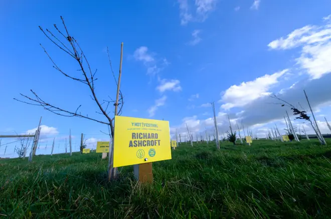 Y Not Festival plants trees named after some of its line-up such as Richard Ashcroft, Royal Blood and Bombay Bicycle Club