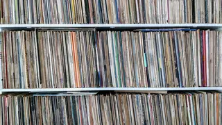 A shelf full of carefully-organised vinyl
