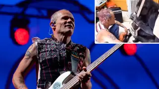 Red Hot Chili Peppers bassist Flea with a video of himself and Koko the gorilla inset