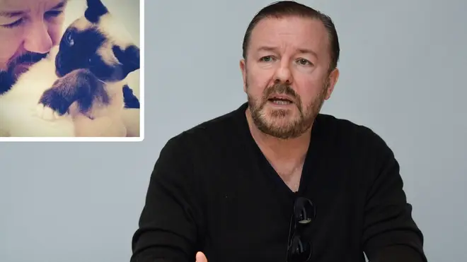 Ricky Gervais marks what would have been cat Ollie's 17th birthday