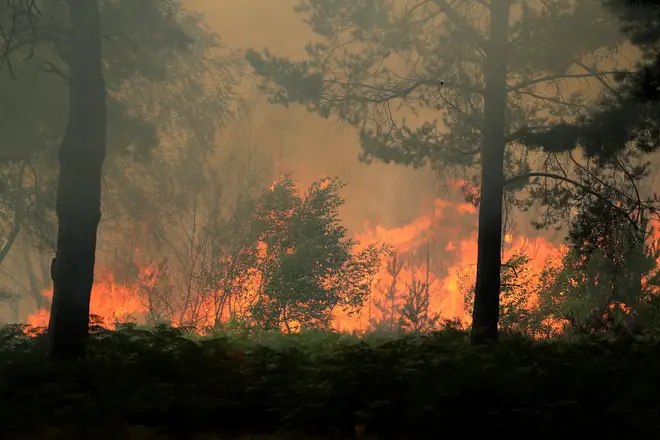 A heath fire rages behind the tenth tee area that caused play to be suspended during day three of The Rose Ladies Series on The West Course at Wentworth Golf Club, 7 August 2020