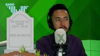 Chris and the team think of headstone ideas for Matt's pet turtle