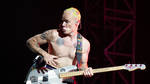 Red Hot Chili Peppers bassist Flea in Barcelona