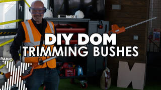 DIY dom trims bushes