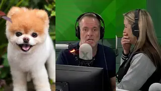 Chris reacts to Pippa's story of Boo the Pomeranian