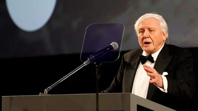 David Attenborough's Our Planet premiered at London's Natural History Museum last night