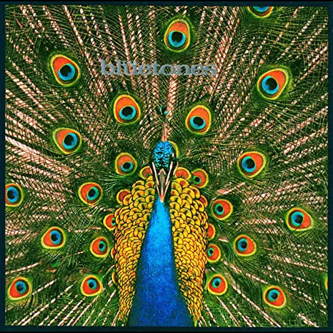 The Bluetones - Expecting To Fly album cover