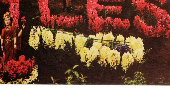 Do these flowers spell out the word PAUL?