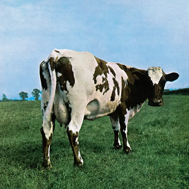 Lulabelle III stars on the cover of Pink Floyd's Atom Heart Mother (1970). She was the first cow Hipgnosis man Storm Thorgerson came across in the nearby countryside.