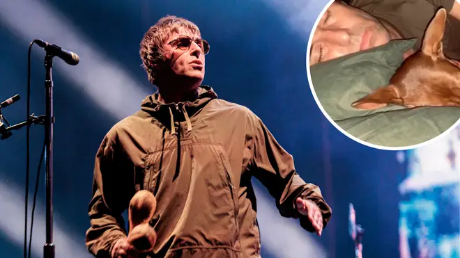 Liam Gallagher has adopted a dog named Buttons from Thailand