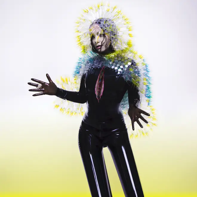 Björk - Vulnicura cover art