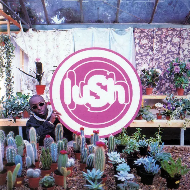 Lush - Lovelife album cover